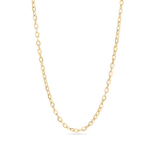 Gold chain necklace on a white background