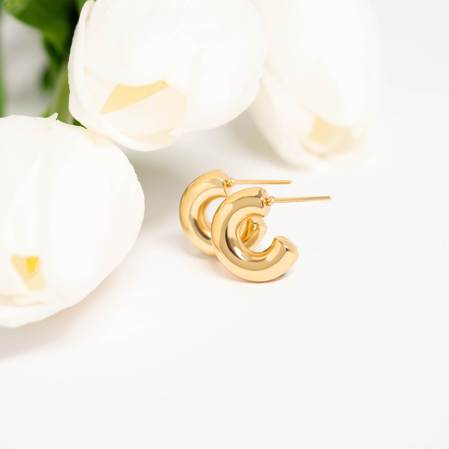 Sunset Hugs Earrings